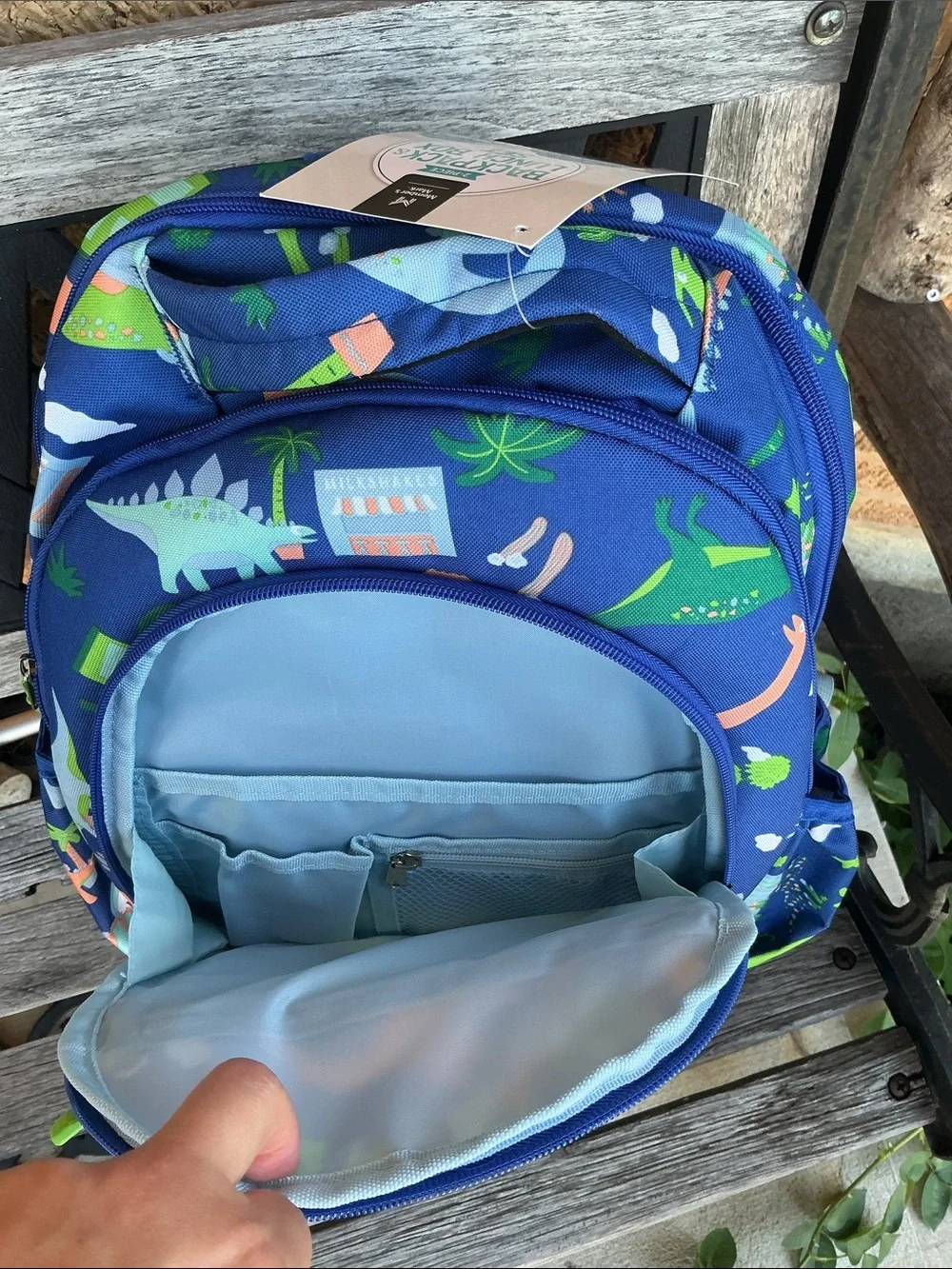 Member’s mark dinosaur backpack